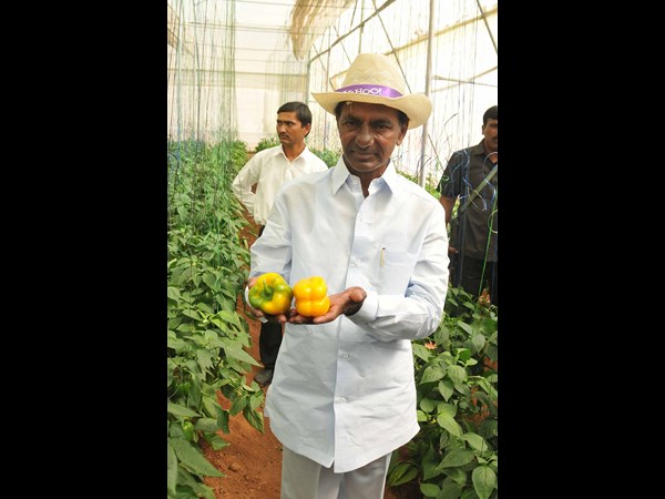 కెసిఆర్ 5