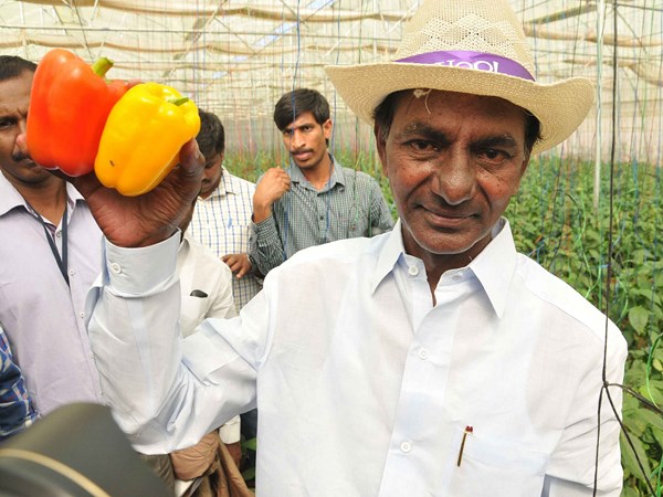 కెసిఆర్ 4