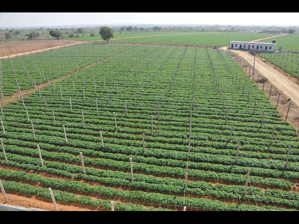 కెసిఆర్ 12