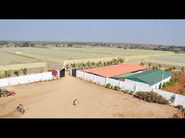 కెసిఆర్ 8