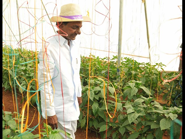 కెసిఆర్ 9