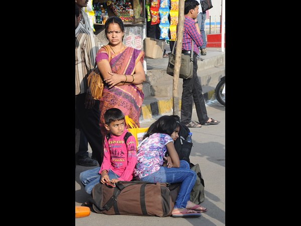 పిల్లాజెల్లాతో పాటు..