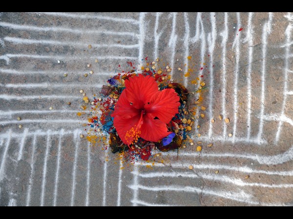 సంక్రాంతి ముగ్గులు 6 