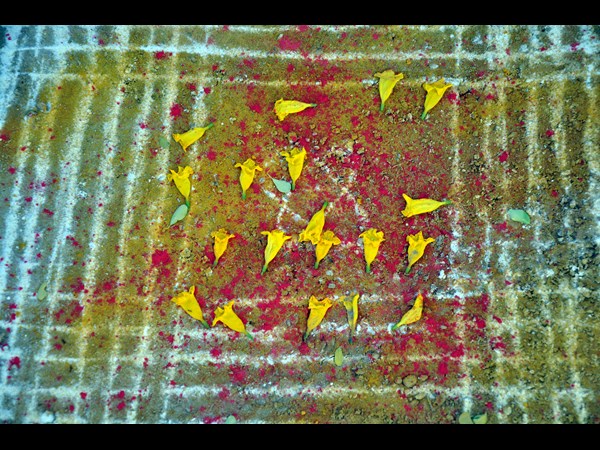 సంక్రాంతి ముగ్గులు 7