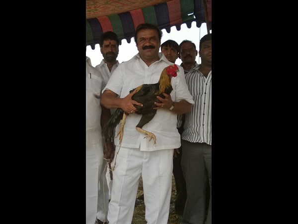 తలసాని 2