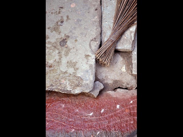 సామాన్య శాస్త్రం ఛాయా చిత్రలిపి 2