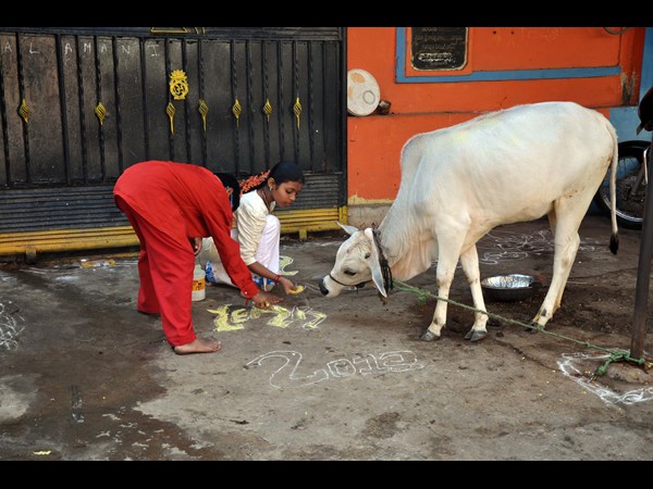 సామాన్య శాస్త్రం ఛాయా చిత్రలిపి 8