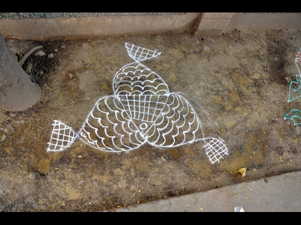 సామాన్య శాస్త్రం ఛాయా చిత్రలిపి 7