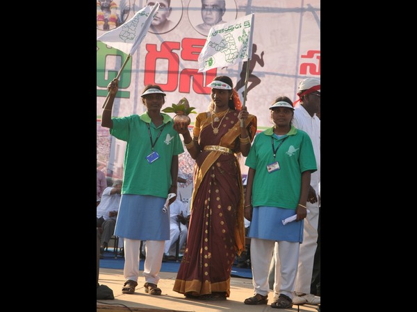 తెలుగుతల్లి వేషం..