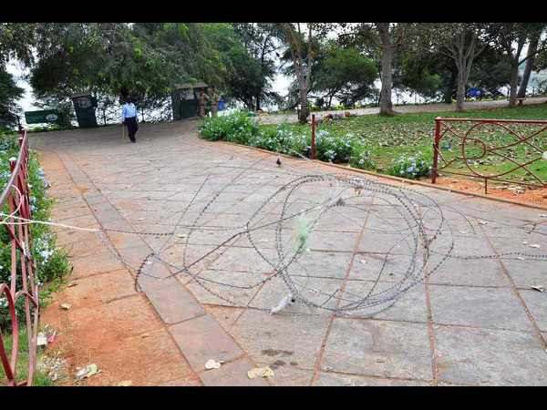 ఇలా ముళ్లకంచెలు కూడా..