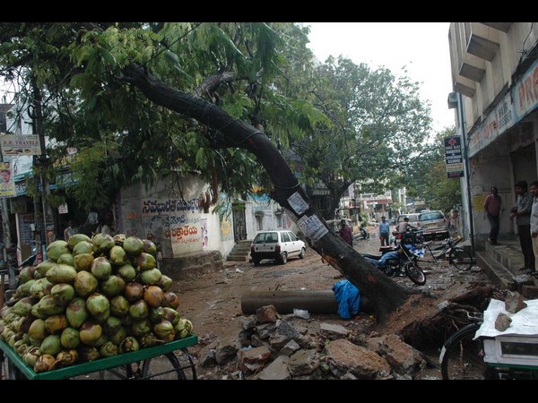 కొబ్బరి బొండాలకు నో
