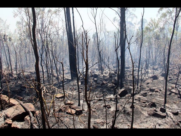 తిరుమల తిరుమల