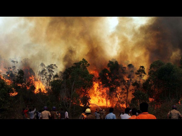 తిరుమల తిరుమల