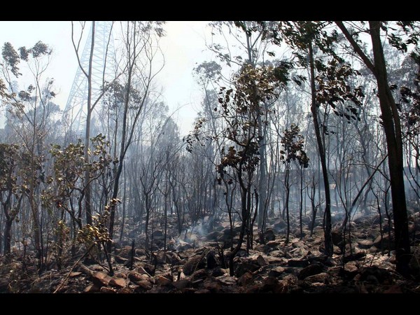 తిరుమల తిరుమల