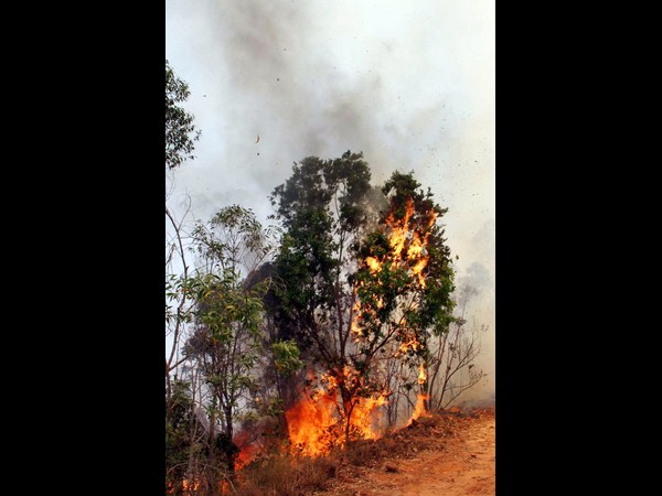 తిరుమల తిరుమల
