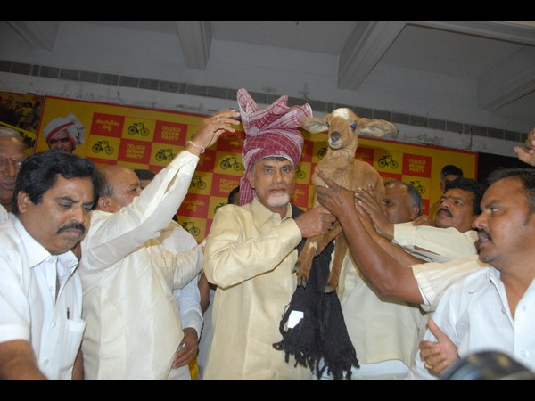 రమ్మంటే రానన్నారు: బాబు, మేకపిల్లనిచ్చారు(పిక్చర్స్)