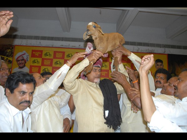 రమ్మంటే రానన్నారు: బాబు, మేకపిల్లనిచ్చారు(పిక్చర్స్)