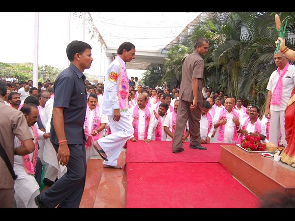 గులాబీ దళపతి..