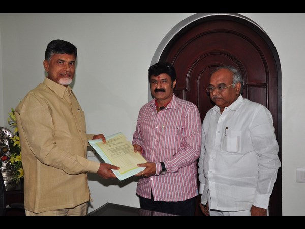 బాబు నుంచి బాలకృష్ణ బీ ఫారం 3