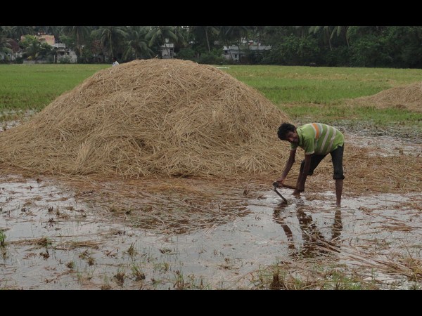 ఉభయ గోదావరి జిల్లాల్లో 