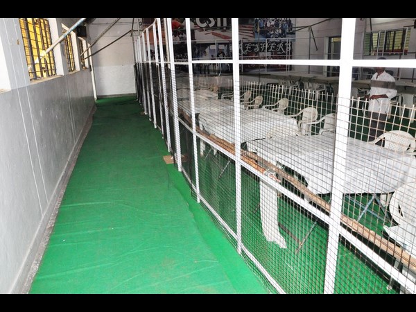 సార్వత్రిక ఎన్నికలు