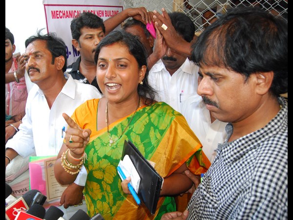 వికసించిన రోజా