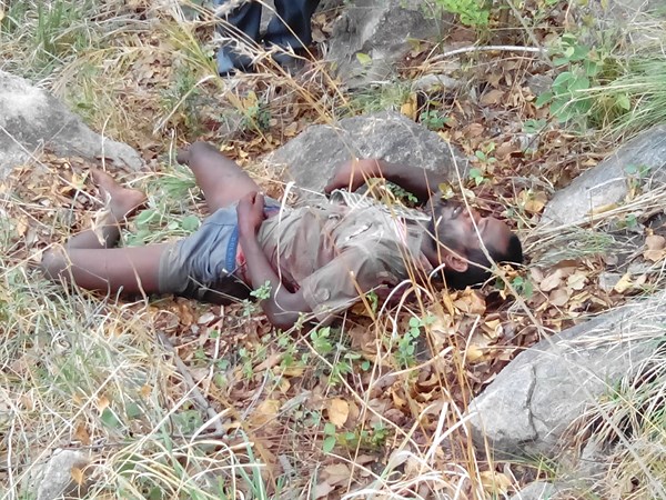 శేషాచలం అడవుల్లో కాల్పులు