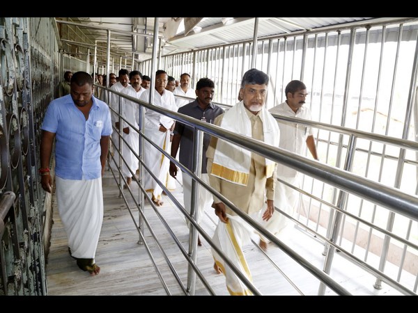 తిరుమలలో చంద్రబాబు