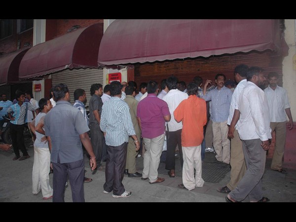 ప్యారడైజ్ సీల్ ప్యారడైజ్ సీల్