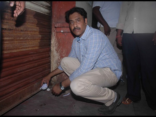 ప్యారడైజ్ సీల్ ప్యారడైజ్ సీల్