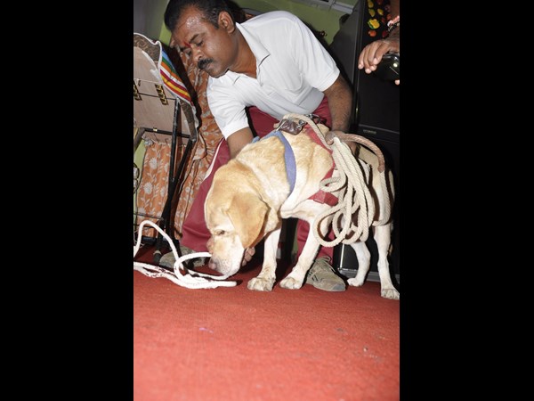  జంట హత్యలు