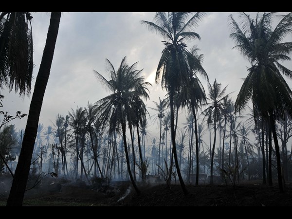 పడమర వైపు...
