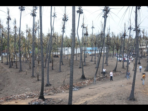 సంఘటన స్థలంలో...