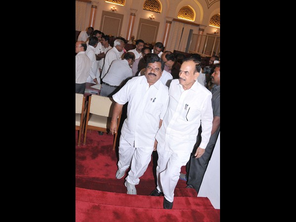 మండలిలో..