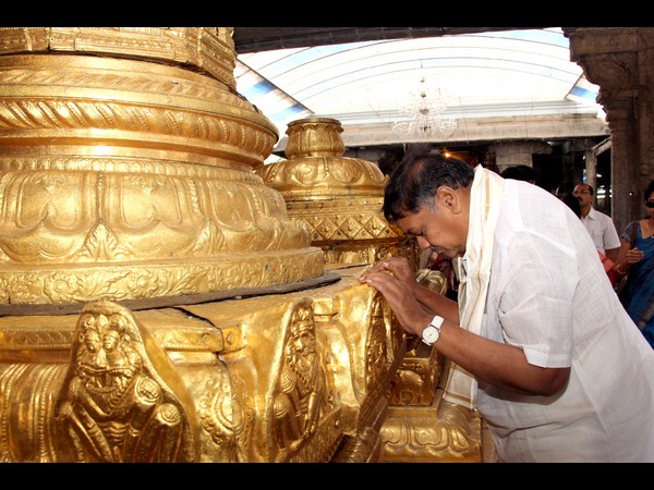 శ్రీవారి సేవలో..