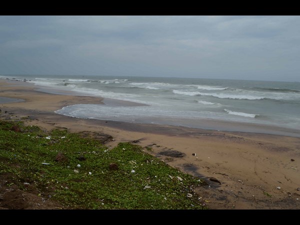 అలల ఉధృతి