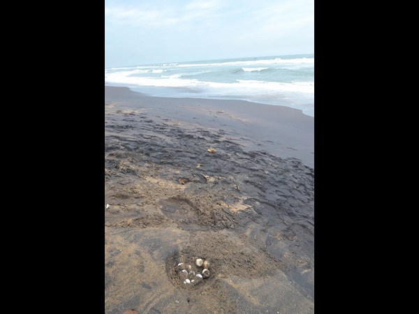 అలల ఉధృతి