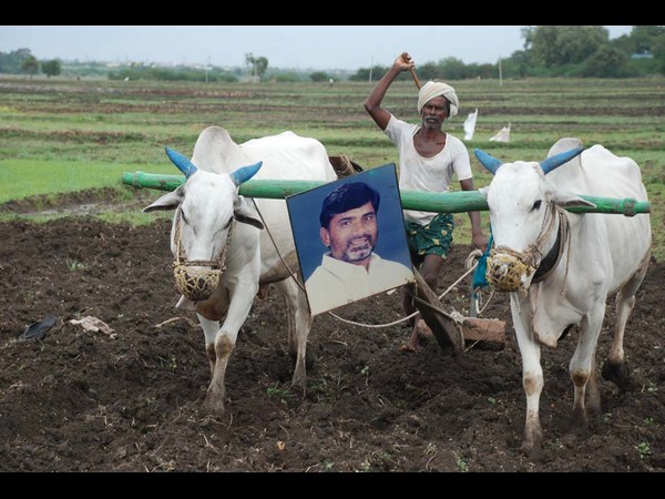  రైతులు