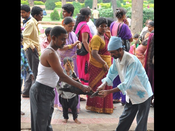 కోడిని బలిస్తూ... కోడిని బలిస్తూ...