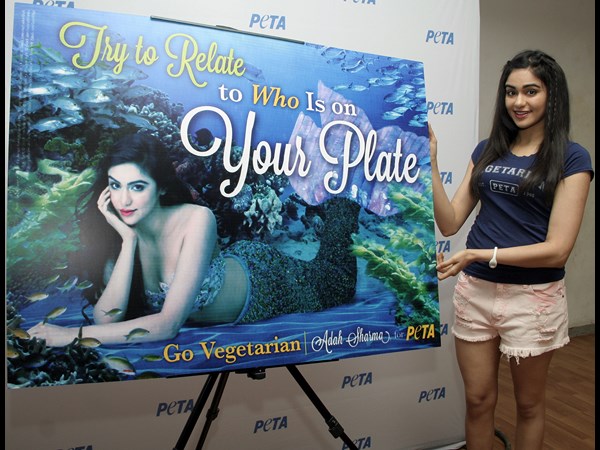 ఆదా శర్మ