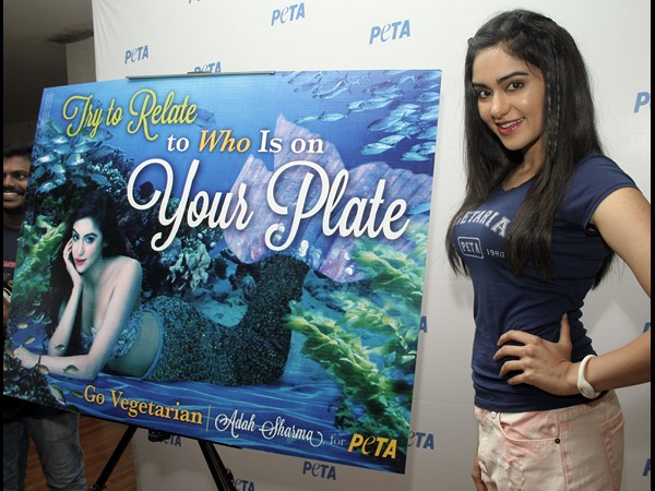 ఆదా శర్మ