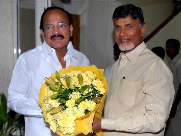 బాబు పుష్పగుచ్ఛం