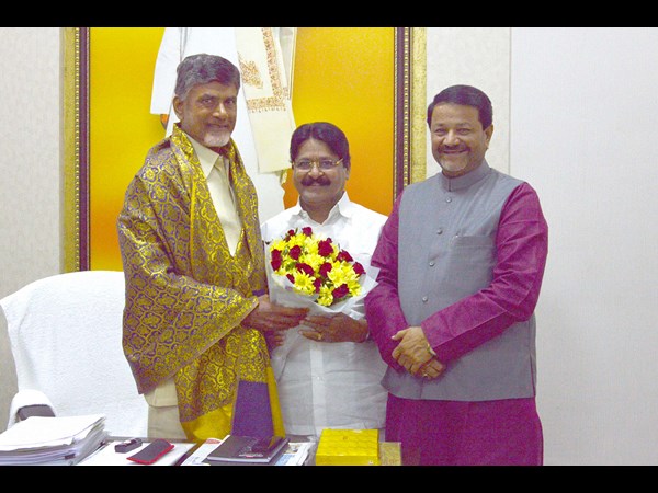 సర్వే