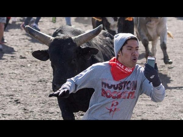  బుల్ ఫైట్ సెల్ఫీ