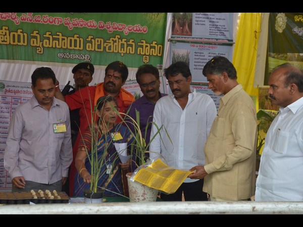 చంద్రబాబు