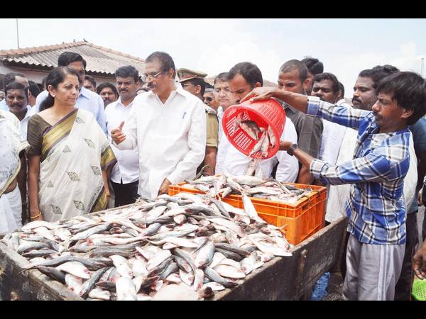  నిర్మలా సీతారామన్