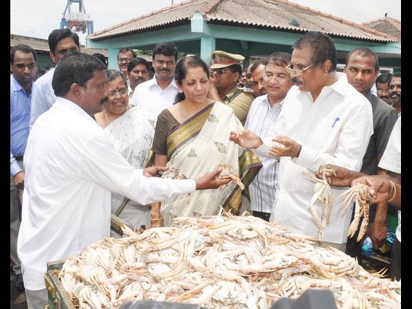 నిర్మలా సీతారామన్