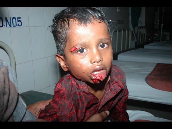 అభం శుభం తెలియని బాలుడు