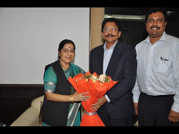 విద్యాసాగర్ రావు