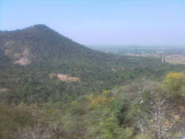 Snake gang: Police chased for Dayani in srisailam forest Snake gang: Police chased for Dayani in srisailam forest